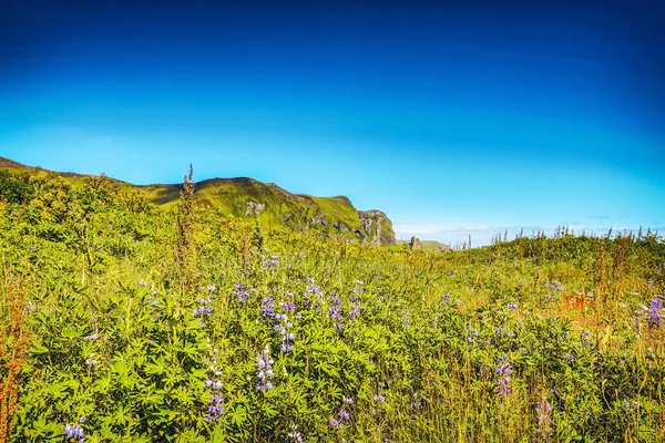 Prachtige schilderachtige landschap van de IJslandse natuur. — Stockfoto