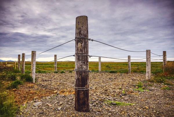 Attelage pour chevaux sur le terrain . — Photo