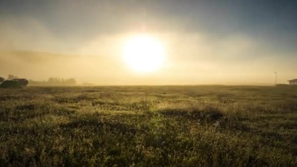 Paesaggio Paesaggistico Islandese Mattutino Con Nebbia Mistica Time Lapse Filmato — Video Stock