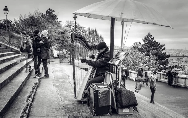 PARIS, FRANCE - NOVEMBER 11, 2017: Man playing harp sitting on the viewing point of Montmartre on November 11 in Paris - France. — Stock Photo, Image