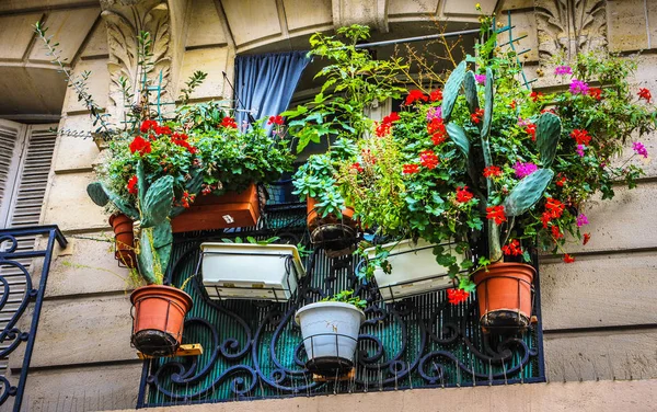Pots à fleurs sur les fenêtres des bâtiments parisiens . — Photo
