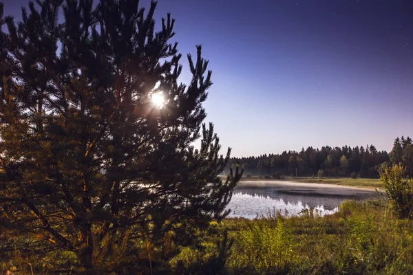 Paisagem noturna em lua cheia e lago sombrio perto da floresta . — Fotografia de Stock