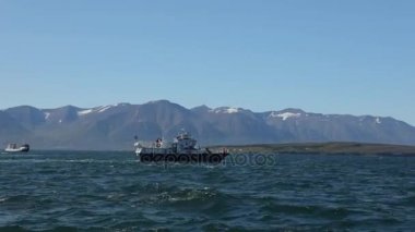 Balina izlemek için İzlanda balıkçı teknesi. HD ayak.