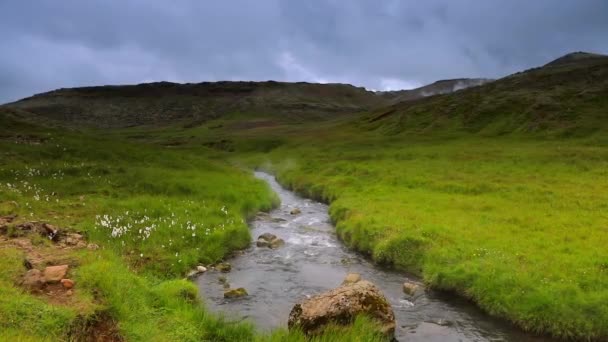 アイスランドの伝統的な自然と山川の絵のような風景です — ストック動画