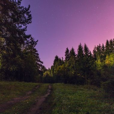 Dolunay üzerinde gece manzarası.
