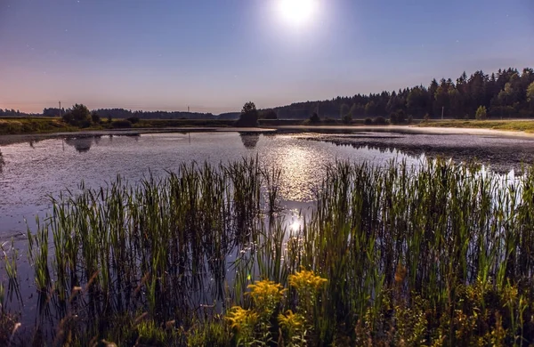 Night landscape on a full moon and smal lake near forest. — Stock Photo, Image