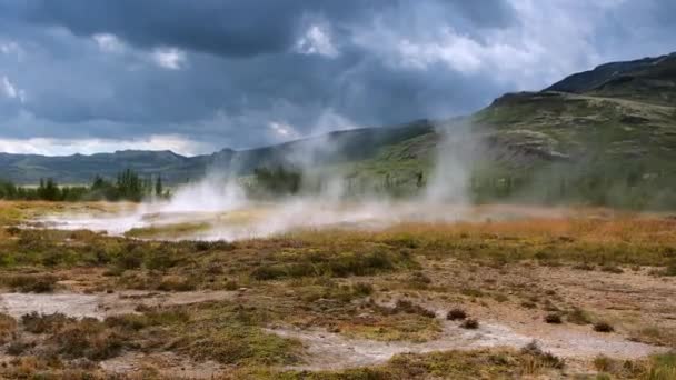 Icelandic Geyser Vapors Picturesque Nature Moving Tourist Footage — Stock Video