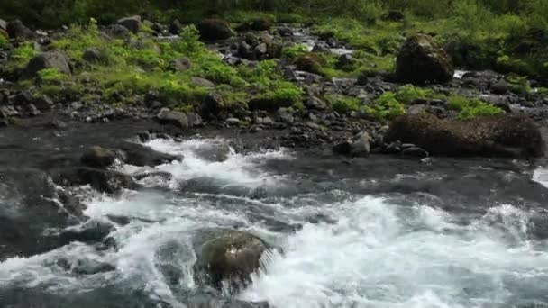 アイスランドの伝統的な自然と山川の絵のような風景です — ストック動画