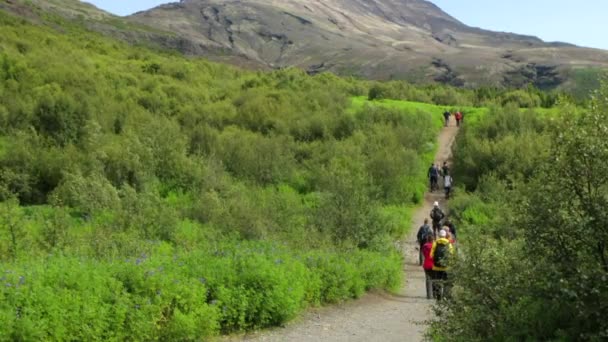Ταξιδιώτες Έναντι Γραφικό Ισλανδικού Τοπίου Βίντεο — Αρχείο Βίντεο
