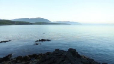 Kayalık sahil sabah zaman İzlandaca Körfezi. Ağır çekim görüntüleri.