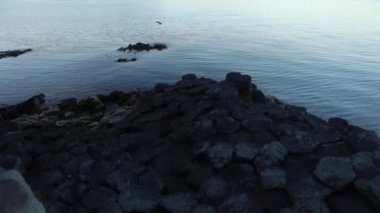 Kayalık sahil sabah zaman İzlandaca Körfezi. Ağır çekim görüntüleri.
