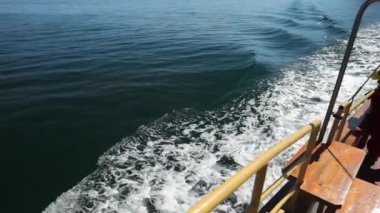 Balina izlemek için İzlanda balıkçı teknesi. Ağır çekim görüntüleri.