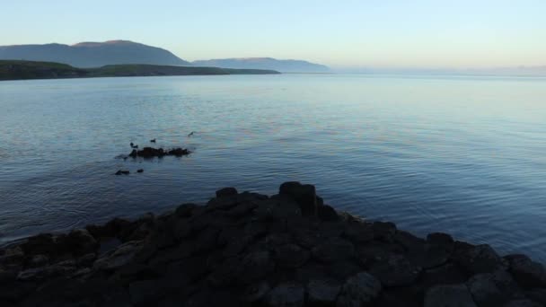 Costa Rochosa Golfo Islandês Hora Manhã Filmagem Câmera Lenta — Vídeo de Stock