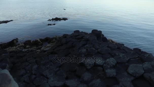 Skalisty Brzeg Zatoki Islandzki Czas Rano Nagrania Zwolnionym Tempie — Wideo stockowe