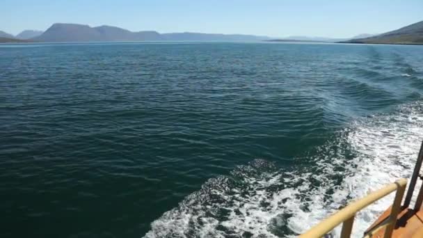 Ισλανδικά Αλιευτικό Σκάφος Για Φαλαινών Αργή Κίνηση Μήκος Πόδηα — Αρχείο Βίντεο