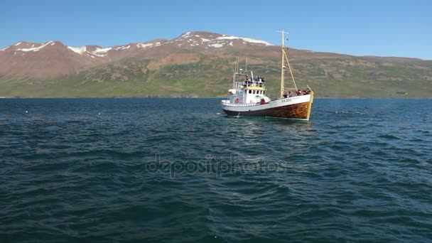 Isländsk Fiskebåt För Valskådning Slow Motion Footage — Stockvideo