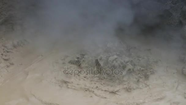 Ισλανδικά Geyser Ατμούς Και Γραφικό Χαρακτήρα Αργή Κίνηση Μήκος Πόδηα — Αρχείο Βίντεο