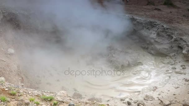 Islandês Geyser Vapores Natureza Pitoresca Filmagem Câmera Lenta — Vídeo de Stock