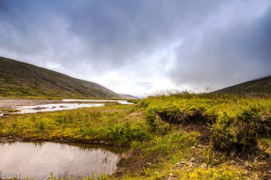İzlanda doğanın güzel doğal peyzaj.