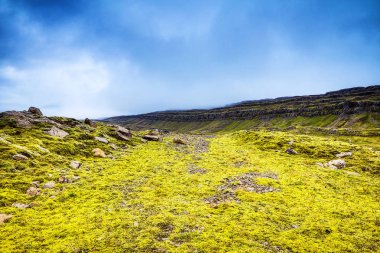 İzlanda doğanın güzel doğal peyzaj.