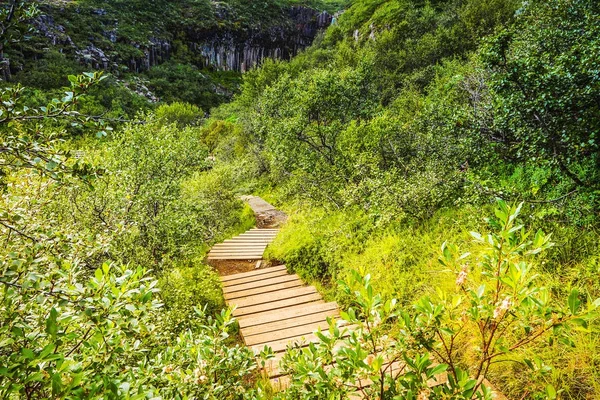 Bela Paisagem Cênica Natureza Islandesa — Fotografia de Stock