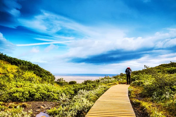 Viajero Contra Pintoresco Paisaje Islandés — Foto de Stock