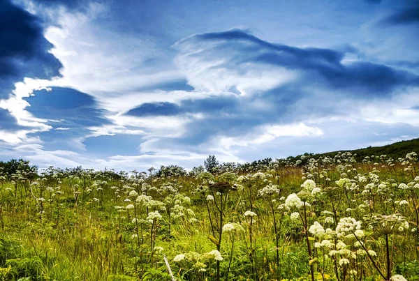 Vackra Natursköna Landskapet Isländska Naturen — Stockfoto