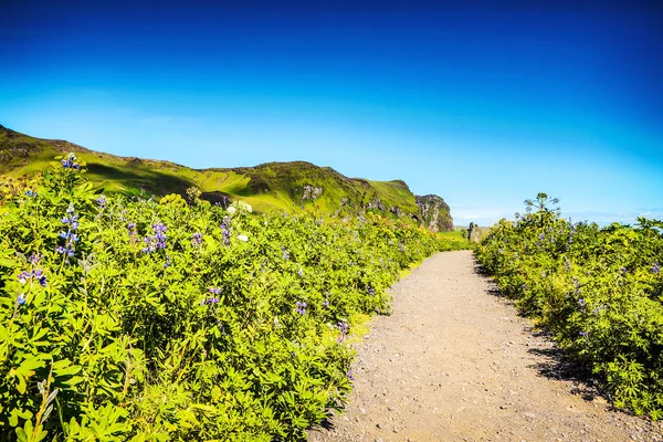 Hermoso Paisaje Paisajístico Naturaleza Islandesa — Foto de Stock