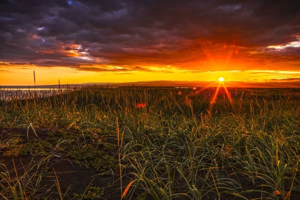놀라운 태양으로 아이슬란드의 전통적인 풀밭의 — 스톡 사진