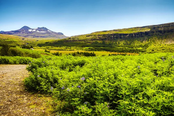 Όμορφο Γραφικό Τοπίο Της Ισλανδική Φύση — Φωτογραφία Αρχείου