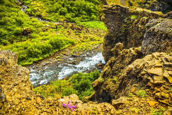 아이슬란드의 전통적인 자연과 — 스톡 사진