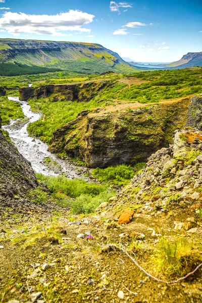 Мальовничий Ландшафт Гірській Річці Традіційного Характером Ісландії — стокове фото