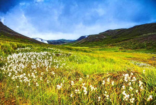 Hermoso Paisaje Paisajístico Naturaleza Islandesa — Foto de Stock