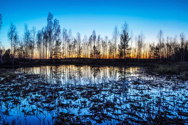 Picturesque View East European Spring Bog Twilight — Stock Photo, Image