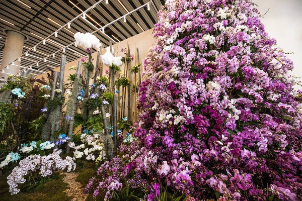 Beijing China Junho 2019 Exposição Internacional Horticultura 2019 Pequim China — Fotografia de Stock