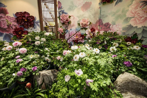 中国北京 2019年6月1日 2019年国际园艺展览会 中国北京 — 图库照片