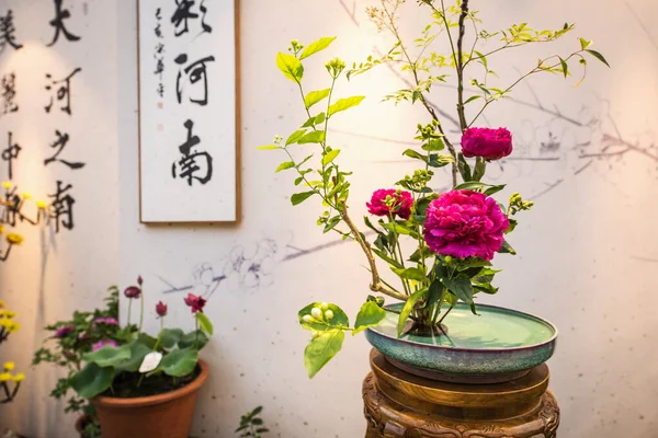 Peking China Juni 2019 Internationale Tuinbouwtentoonstelling 2019 Peking China — Stockfoto