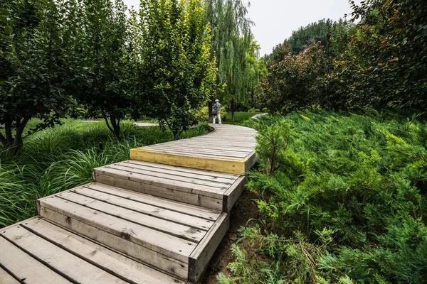 Traditionell Kinesisk Stads Trädgårds Park — Stockfoto