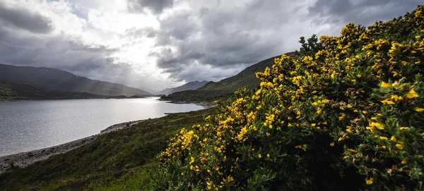 Прекрасний Пейзаж Природи Шотландії — стокове фото