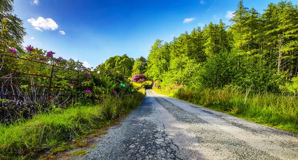 Hermoso Paisaje Escénico Increíble Naturaleza Escocia Carretera Sendero Montaña —  Fotos de Stock