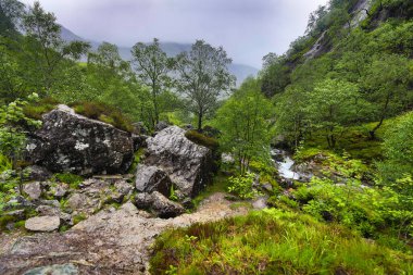 İskoçya doğasının güzel manzarası.