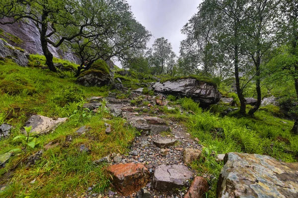 Bela Paisagem Cênica Escócia Natureza — Fotografia de Stock