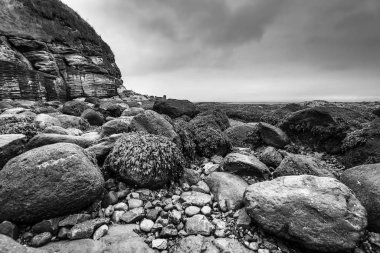 İskoçya doğasının güzel manzarası.