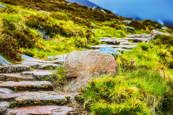 Bellissimo Paesaggio Panoramico Della Natura Scozzese — Foto Stock