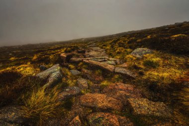 İskoçya doğasının güzel manzarası.