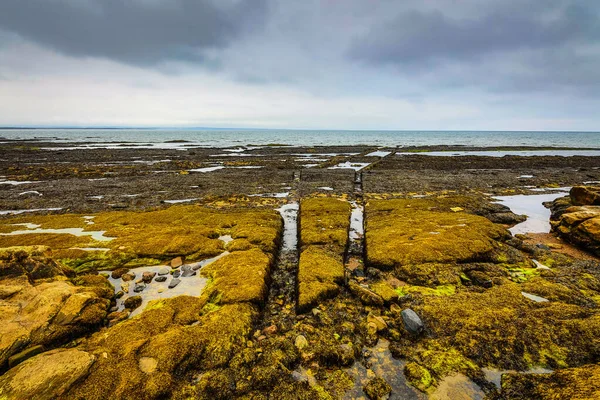 Skoçya Doğasının Güzel Manzarası — Stok fotoğraf
