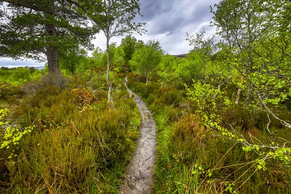 Piękny Malowniczy Krajobraz Niesamowitej Przyrody Szkocji Górskiego Szlaku Drogowego — Zdjęcie stockowe