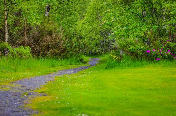 素晴らしいスコットランドの自然と山道の美しい風景 — ストック写真