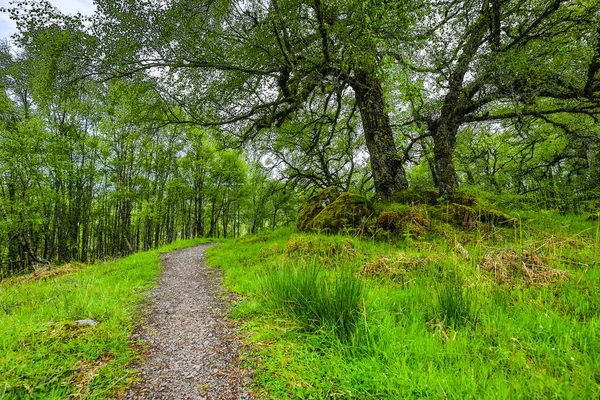 Piękny Malowniczy Krajobraz Niesamowitej Przyrody Szkocji Górskiego Szlaku Drogowego — Zdjęcie stockowe