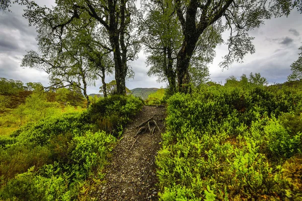 美丽的风景秀丽的苏格兰自然与山路 — 图库照片
